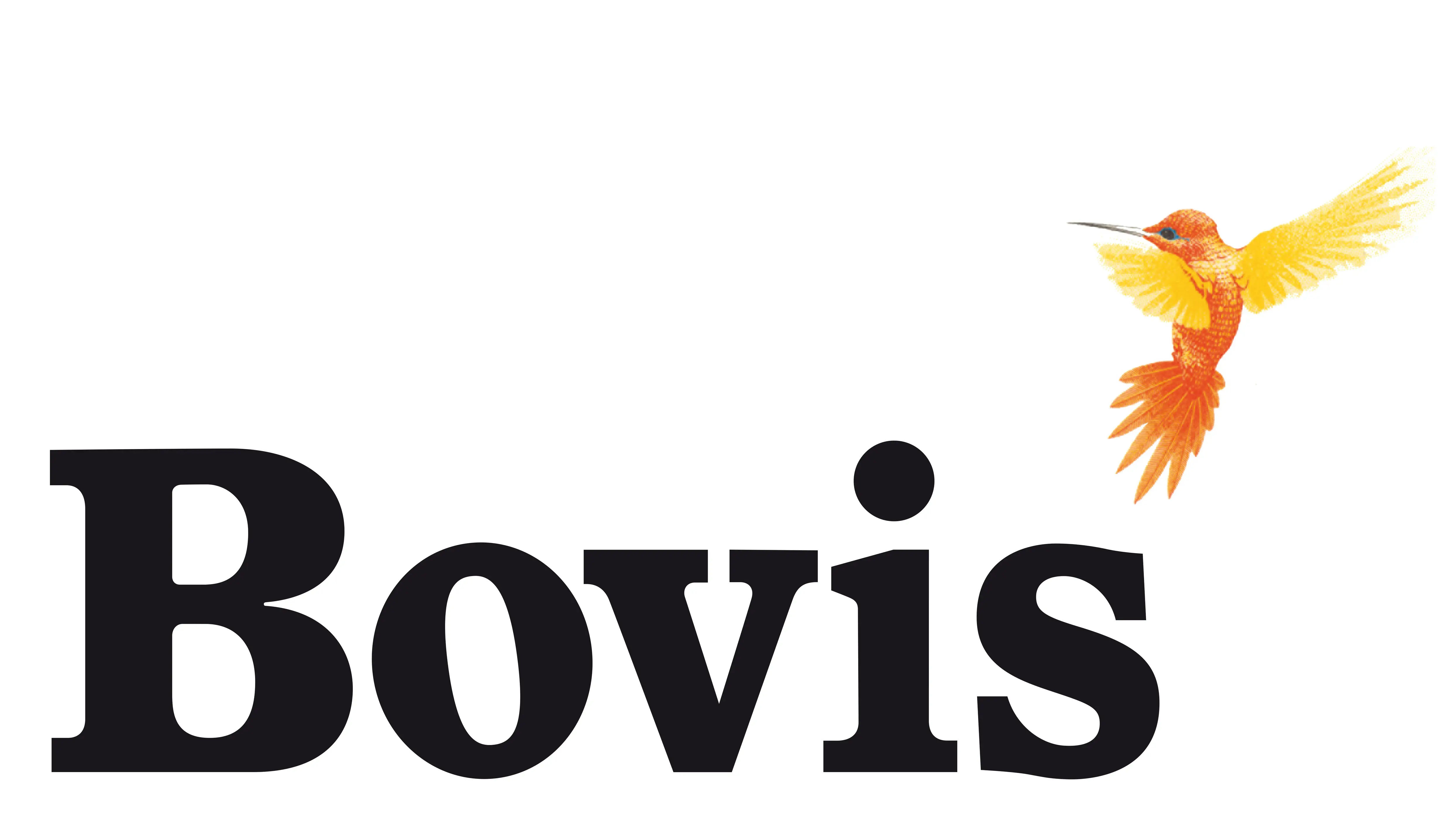 Bovis, 1971