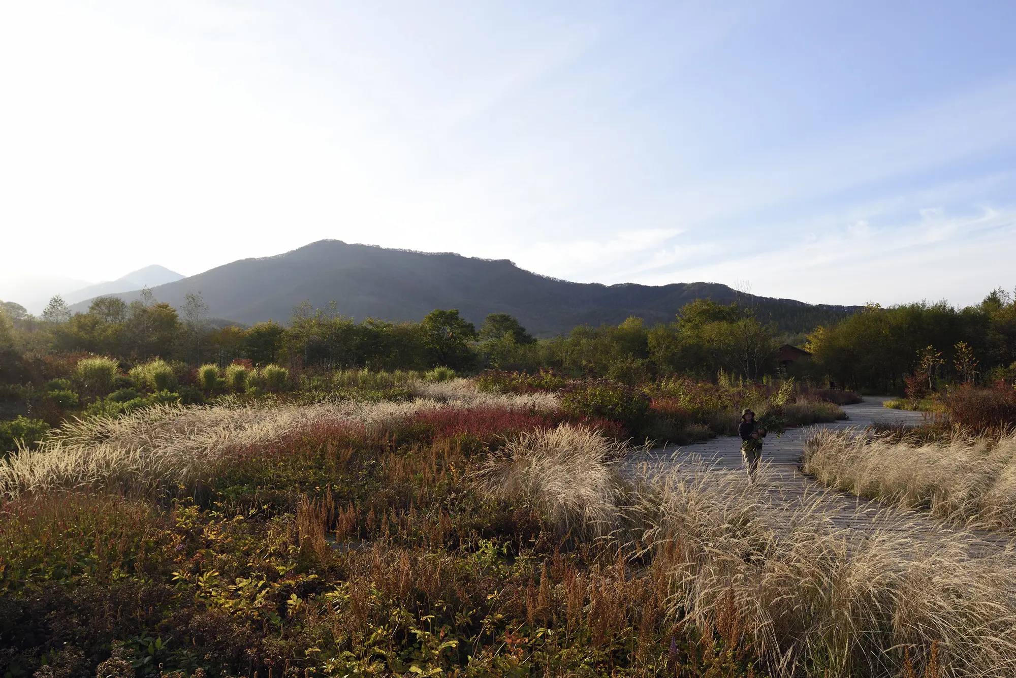 Tokachi Millennium Forest, 2004 - 2008