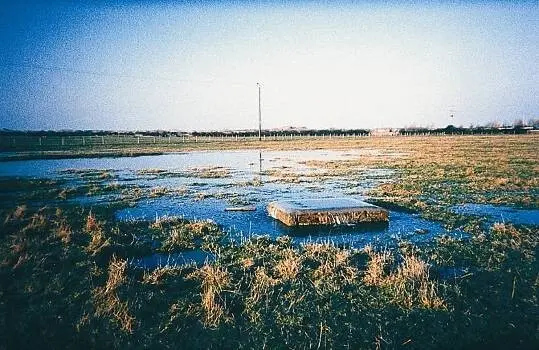 Point of Ayr Warren Farm Wetland, 